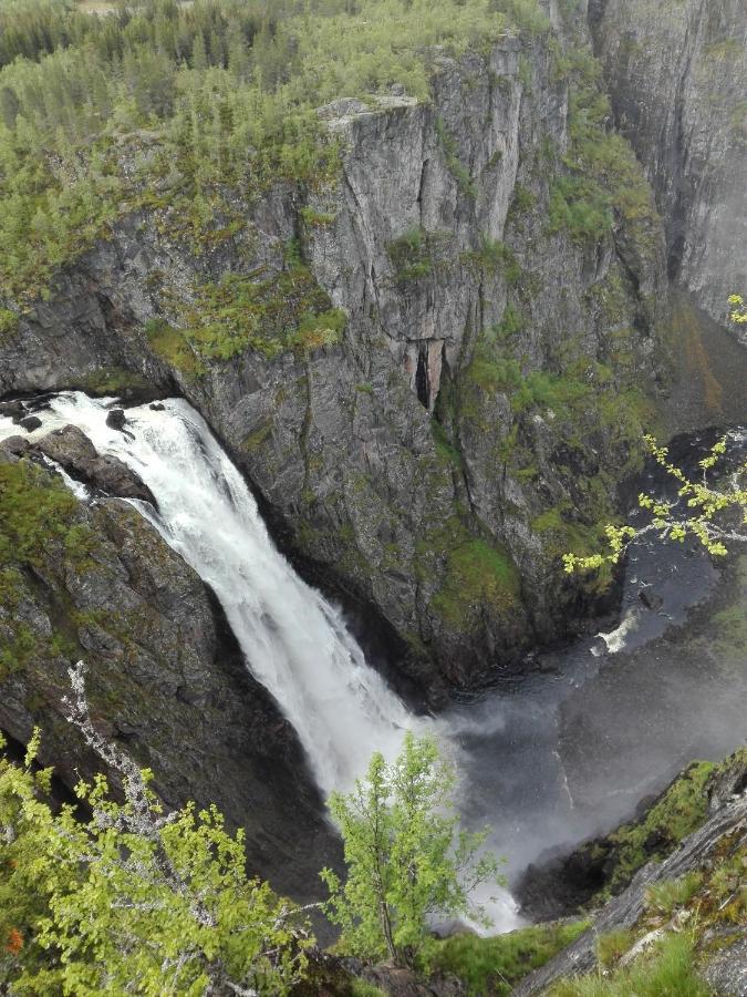 Liseth Pensjonat Og Hyttetun Eidfjord Kültér fotó