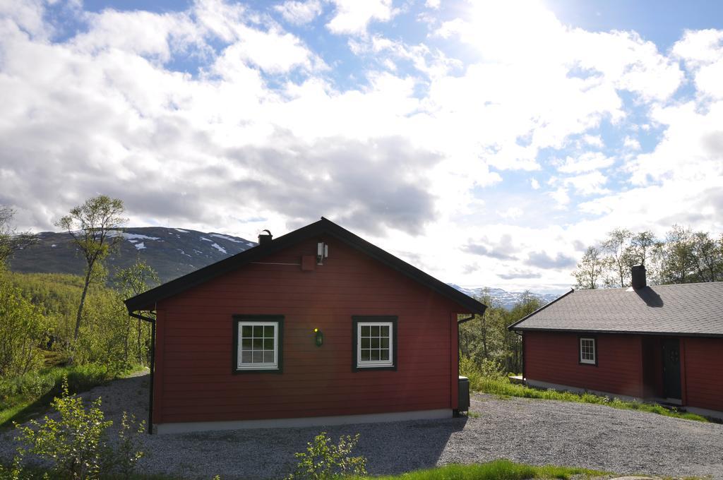Liseth Pensjonat Og Hyttetun Eidfjord Kültér fotó